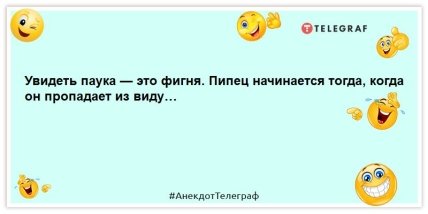 анекдот про павука