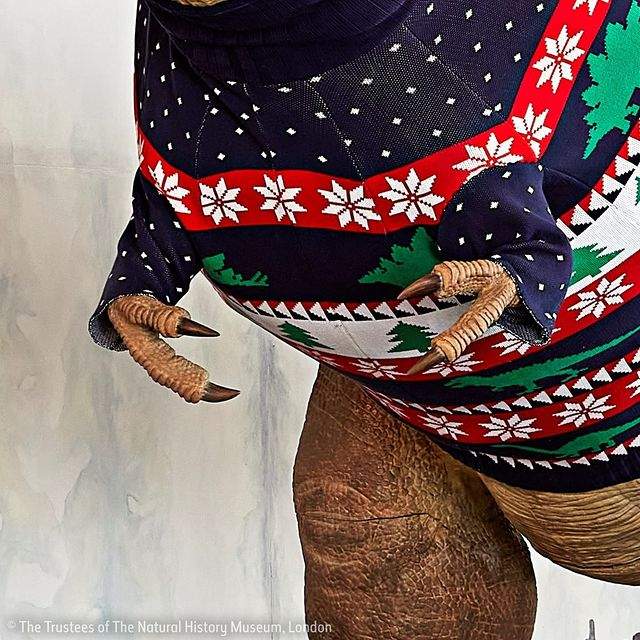 В лондонском музее естествознания тираннозавр примерил рождественский свитер