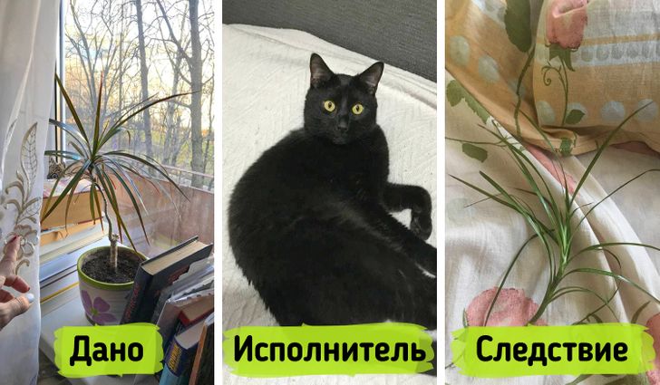 20 человек, которые знают, что отношения — это не только бабочки в животе, а еще ирония и сарказм