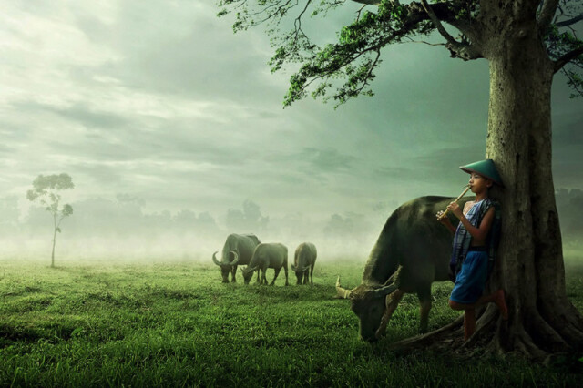 Индонезийская жизнь в атмосферных фотографиях Сукрона Мамуна 
