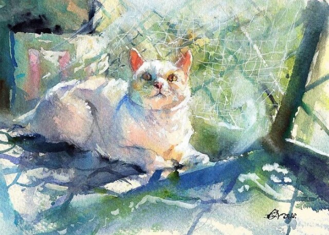 Кошачья жизнь в акварельных картинах Draw An