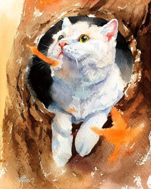 Кошачья жизнь в акварельных картинах Draw An