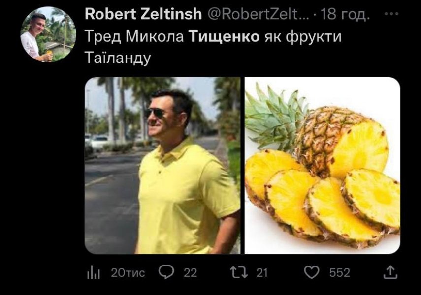 \"Таиландский фронт\". В сети шутят о скандале с Николаем Тищенко (ФОТО)