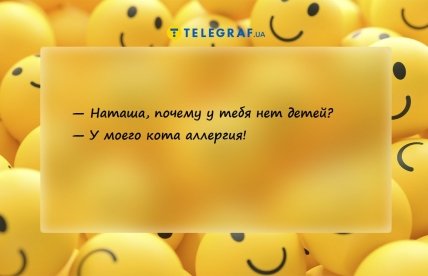 шутка про кота