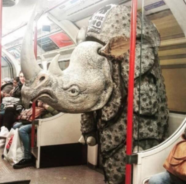 Дивні та несподівані пасажири метро (ФОТО)