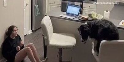 Дістав пігулки та воду з холодильника: собака врятував господарку з рідкісною хворобою (відео)