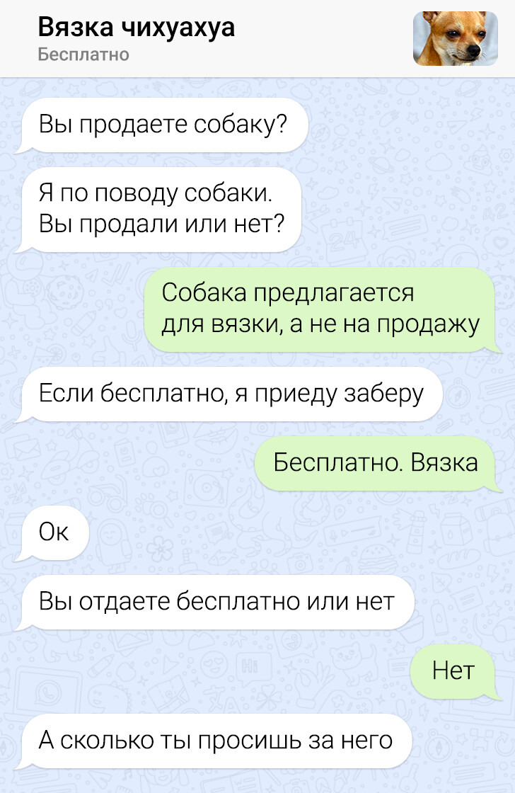 Особи, терпіння яких можна тільки позаздрити, адже багато хто на їхньому місці вже збожеволів би