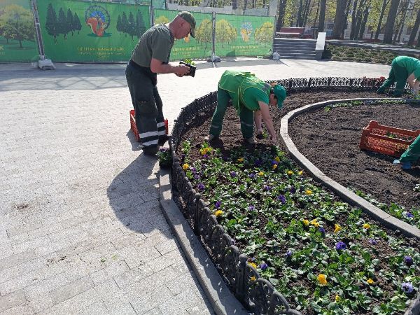 У саду Шевченка в Харкові  садять квіти (фото)