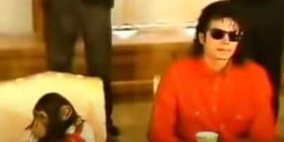 Шимпанзе Майкла Джексона: де і як живе 40-річний Баблз після смерті зірки (фото, відео)