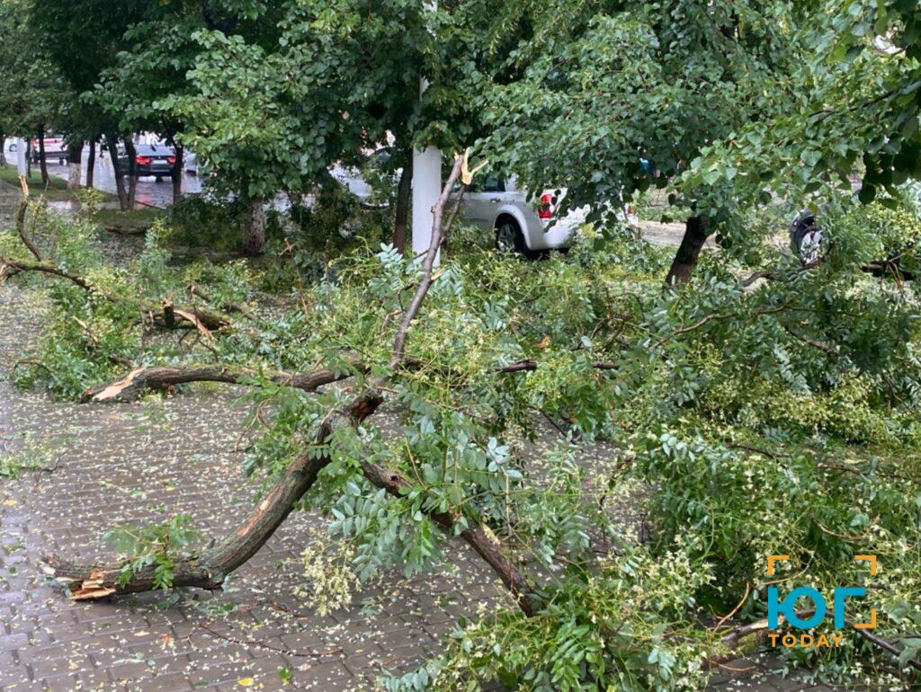 В Ізмаїлі пройшов дощ та ураганний вітер, в районі чутно грім (ФОТО) В Ізмаїлі пройшов дощ та ураганний вітер, в районі чутно грім (ФОТО)