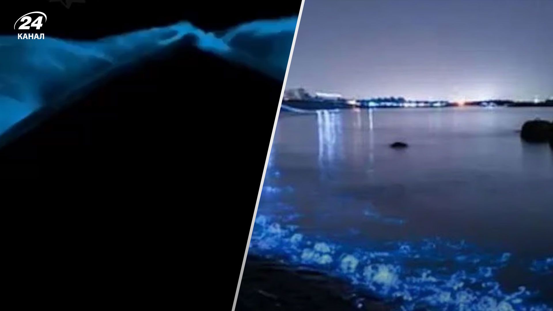 В Одесі світилося море В Одесі світилося море