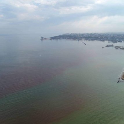В Одесі море стало бурим: що там відбувається (фото) В Одесі море стало бурим: що там відбувається (фото)