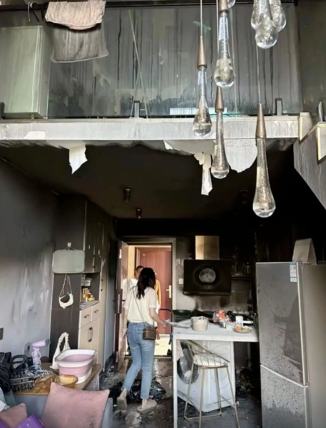 Кот "устроился" на работу, чтобы расплатиться с хозяйкой за случайный поджог дома (фото)