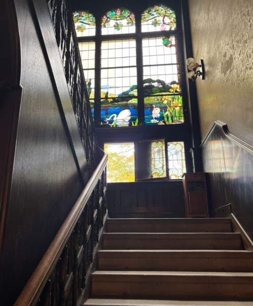 У віллі живуть тільки коти Особняк у Німеччині окупували коти, що вони там роблять та як туди потрапили, курйозні історії з життя