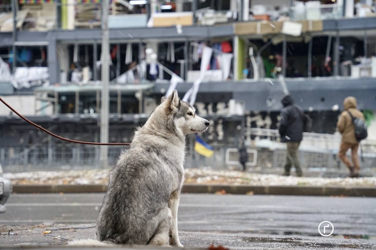 Наслідки удару Росії: як виглядає супермаркет у Харкові після атаки Наслідки удару Росії: як виглядає супермаркет у Харкові після атаки
