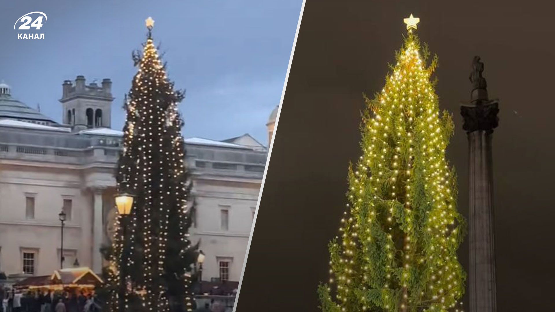 Різдвяна ялинка в Лондоні Різдвяна ялинка в Лондоні