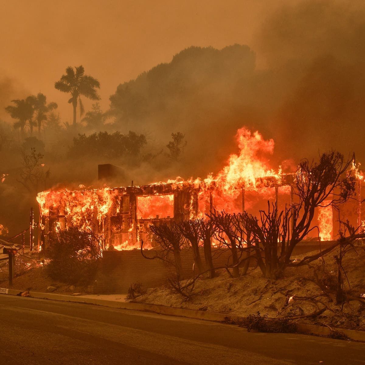 По меньшей мере 24 погибших и выгоревших дотла дома: в Калифорнии продолжаются масштабные лесные пожары По меньшей мере 24 погибших и выгоревших дотла дома: в Калифорнии продолжаются масштабные лесные пожары