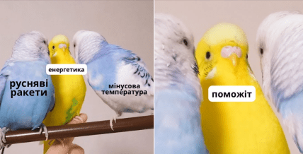 Яке стоп слово? Українці малюють влучні меми з приводу останніх новин Яке стоп слово? Українці малюють влучні меми з приводу останніх новин