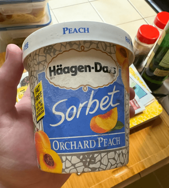 Морозиво 1999 року Морозильна камера, десерт, сорбет, десерт 1990-х років, холодильник, незвичайна знахідка, старі продукти, старе морозиво