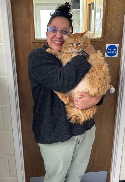 Дієта не допомагала: ветеринари допомогли коту схуднути незвичайним способом (фото) Дієта не допомагала: ветеринари допомогли коту схуднути незвичайним способом (фото)