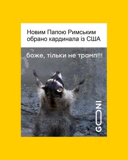 Обрали кота Василя чи Сімбу? Мережею вже ширяться меми про обрання Папи Римського Обрали кота Василя чи Сімбу? Мережею вже ширяться меми про обрання Папи Римського