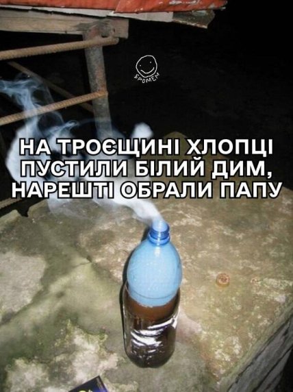 Обрали кота Василя чи Сімбу? Мережею вже ширяться меми про обрання Папи Римського Обрали кота Василя чи Сімбу? Мережею вже ширяться меми про обрання Папи Римського