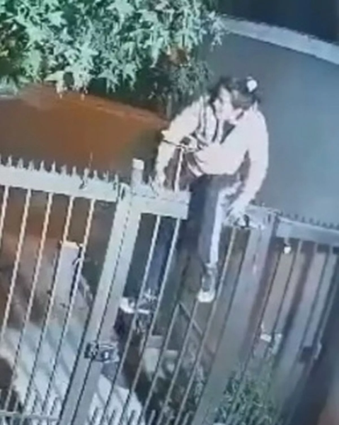 Грабіжницю спіймали зі спущеними штанами після того, як вона застрягла на паркані (фото) Грабіжницю спіймали зі спущеними штанами після того, як вона застрягла на паркані (фото)