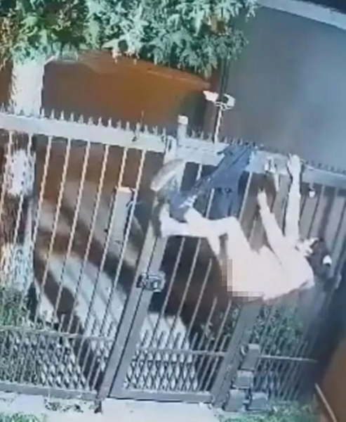 Грабіжницю спіймали зі спущеними штанами після того, як вона застрягла на паркані (фото) Грабіжницю спіймали зі спущеними штанами після того, як вона застрягла на паркані (фото)