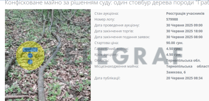 В українця конфіскували палку