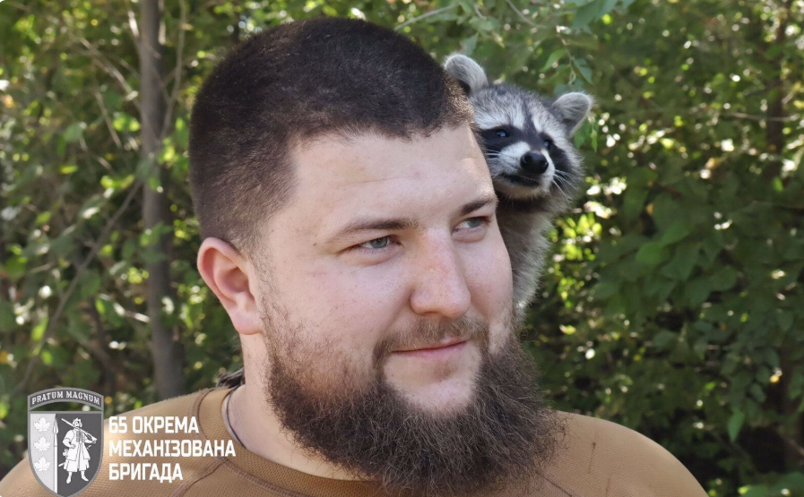 «Сержантка Моллі» — у бійців бригади «Великий Луг» з’явилася незвичайна вихованка «Сержантка Моллі» — у бійців бригади «Великий Луг» з’явилася незвичайна вихованка