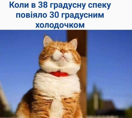 Погода, меми
