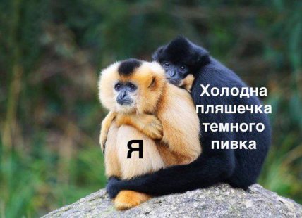 Меми про спеку в Україні