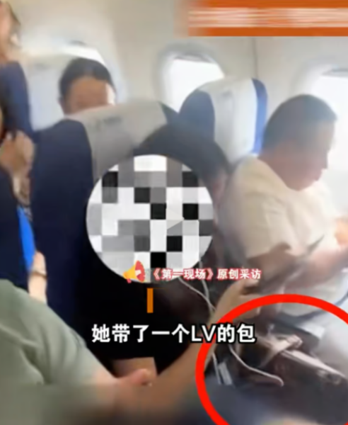 Жінку висадили з літака через відмову залишити розкішну сумочку під сидінням економкласу Жінку висадили з літака через відмову залишити розкішну сумочку під сидінням економкласу