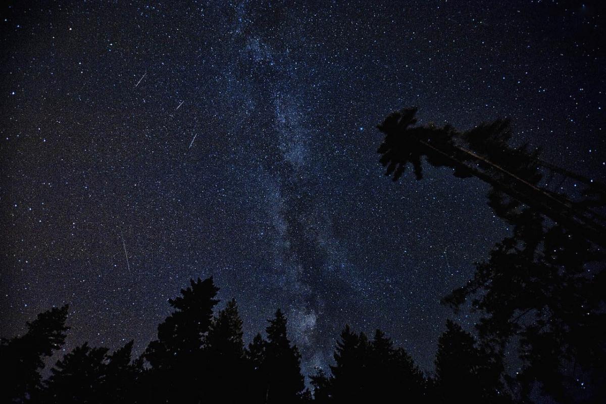 Пік зорепаду припадає на ніч з 12 на 13 серпня /фото: pixabay.com Пік зорепаду припадає на ніч з 12 на 13 серпня /фото: pixabay.com