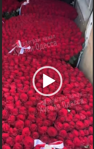 В Одесі закоханий хлопець подарував дівчині “мільйон червоних троянд” (Відео) В Одесі закоханий хлопець подарував дівчині “мільйон червоних троянд” (Відео)