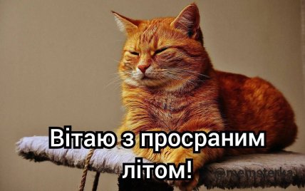 Хоча б не вмерли: мережу розривають феєричні меми про закінчення літа Хоча б не вмерли: мережу розривають феєричні меми про закінчення літа