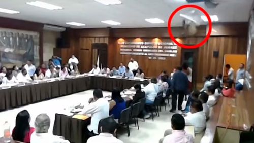 Єнот провалився крізь стелю на членів міської ради (ВІДЕО)