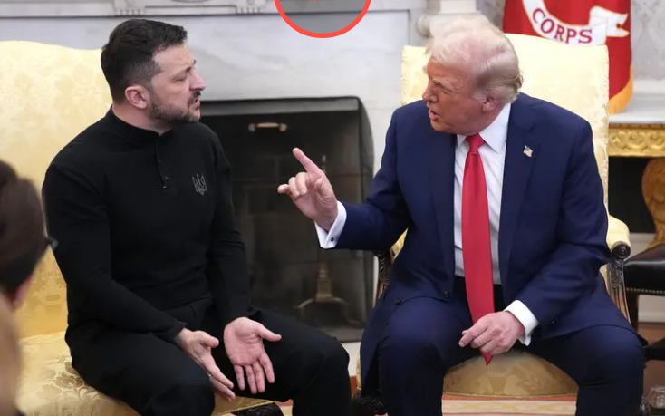 Трамп і Зеленський мають схожий характер — The Hill Трамп і Зеленський мають схожий характер — The Hill