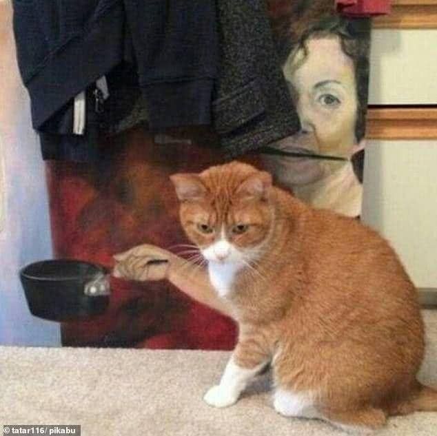 Смішні коти - фото 767873