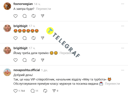 Пухнастий оператор \"Нової пошти\" розвеселив мережу. В Івано-Франківську стався кумедний випадок (фото) Пухнастий оператор \"Нової пошти\" розвеселив мережу. В Івано-Франківську стався кумедний випадок (фото)
