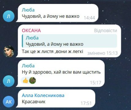 Коментарі до відео, скріншот