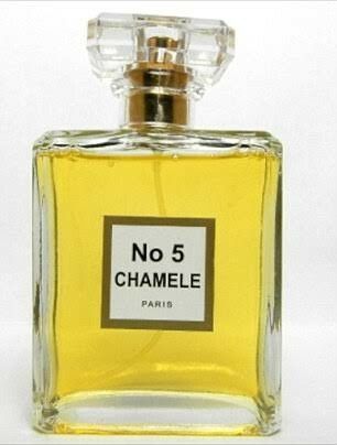 Кумедні підробки відомих брендів, які відчайдушно намагаються виглядати не як дешеві копії - фото 786012