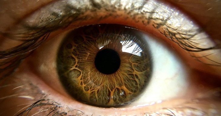 Сітківка очей може передбачити інсульт: що виявили вчені
