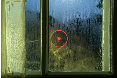 Як позбутися конденсату на вікнах: рецепт засобу Як позбутися конденсату на вікнах: рецепт засобу