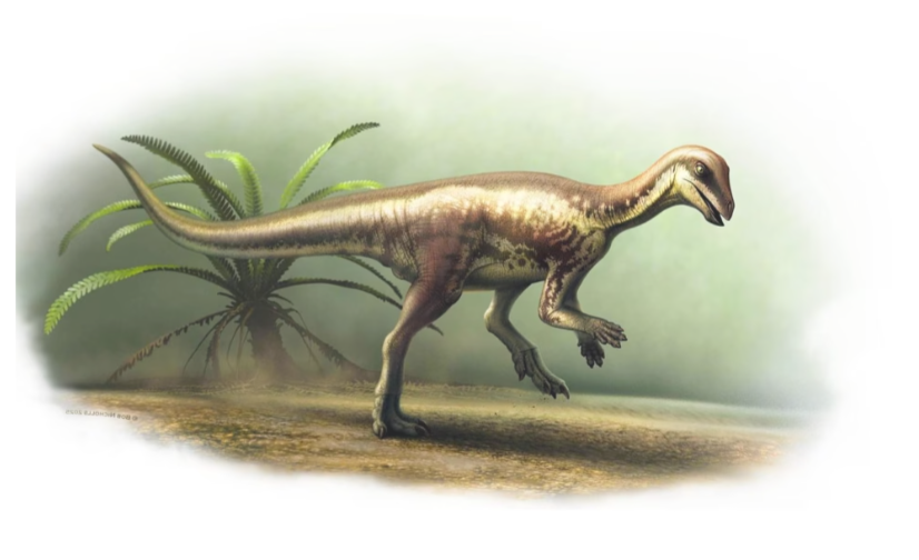 Динозавр розміром із домашню кішку знайдений у Колорадо Динозавр розміром із домашню кішку знайдений у Колорадо