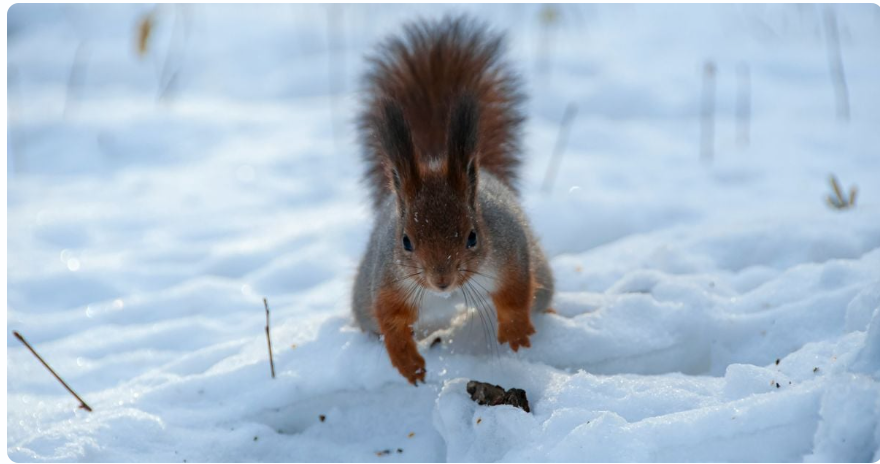 На Україну насувається найсильніше похолодання за 70 років: синоптик про погодні сюрпризи На Україну насувається найсильніше похолодання за 70 років: синоптик про погодні сюрпризи