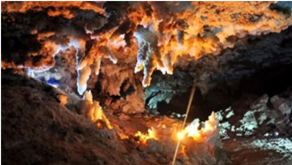 У підводній печері знайшли вимерлих істот льодовикового періоду: який вигляд мають У підводній печері знайшли вимерлих істот льодовикового періоду: який вигляд мають