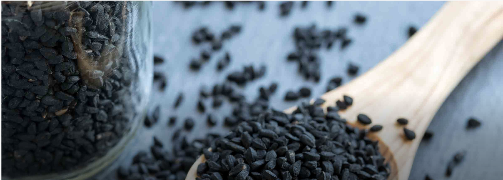 Чорний кмин допомагає знизити рівень шкідливого холестерину Чорний кмин допомагає знизити рівень шкідливого холестерину