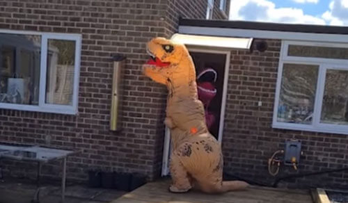 довгоочікувана зустріч із динозаврами Бабуся та дідусь після року розлуки зустрілися не з родичами, а з динозаврами (ВІДЕО)