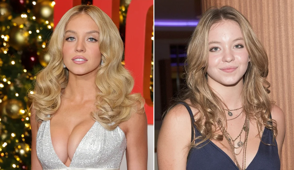 Сідна Свіні зробила гучну заяву про пластичні операції: голлівудські секрети краси Сідна Свіні зробила гучну заяву про пластичні операції: голлівудські секрети краси